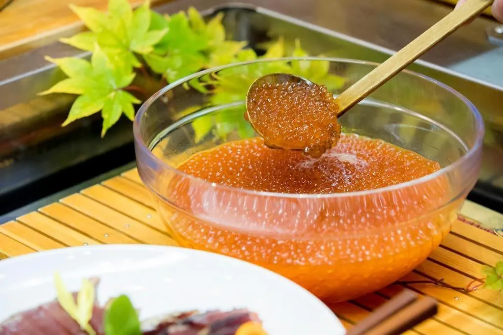 Sapporo Kitahiroshima Classe Hotel كيتاهيروشيما